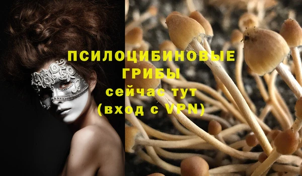 кокс Баксан